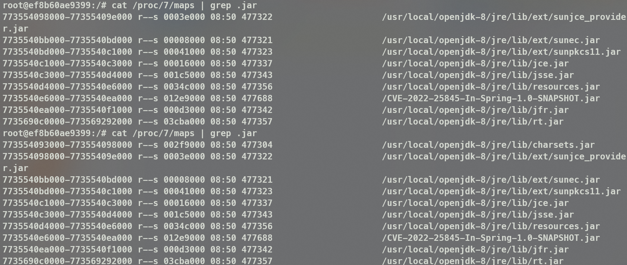 image-20260308135031769